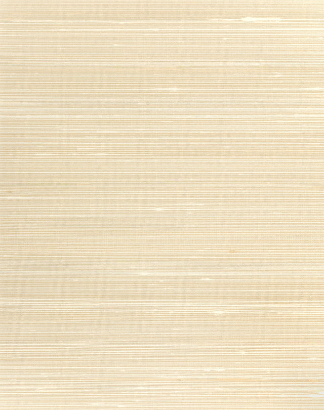 Winfield Thybony GRAYSON SEASHELL Wallpaper