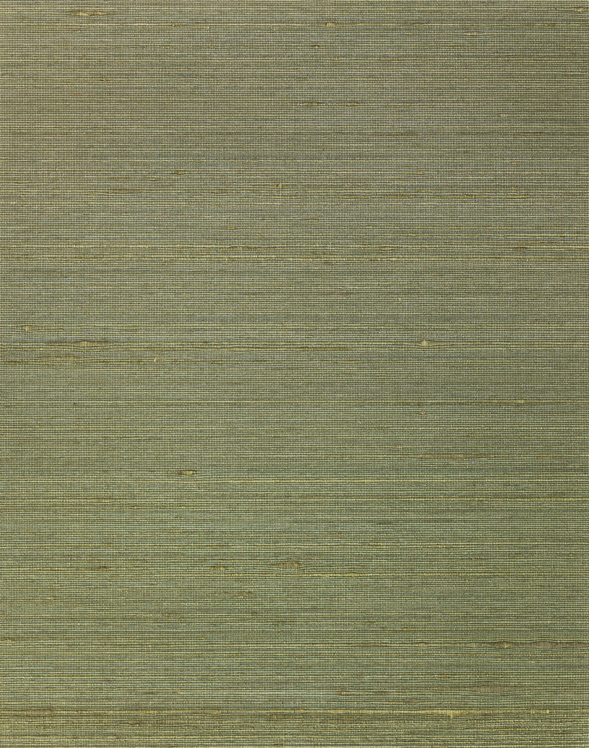 Winfield Thybony AMBROSE FOREST Wallpaper