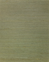 Winfield Thybony AMBROSE FOREST Wallpaper