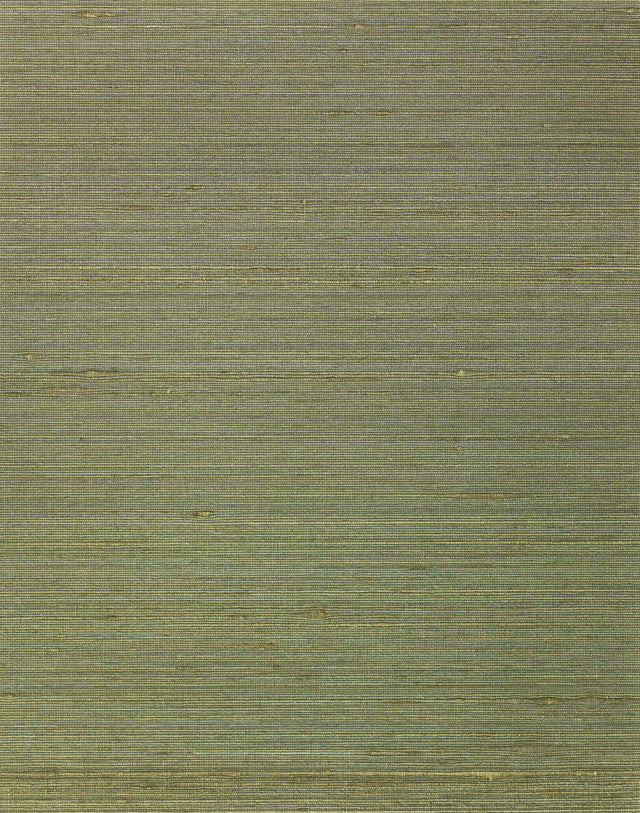 Winfield Thybony AMBROSE FOREST Wallpaper