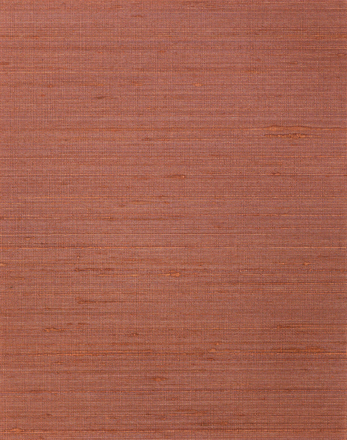 Winfield Thybony AMBROSE TERRA Wallpaper