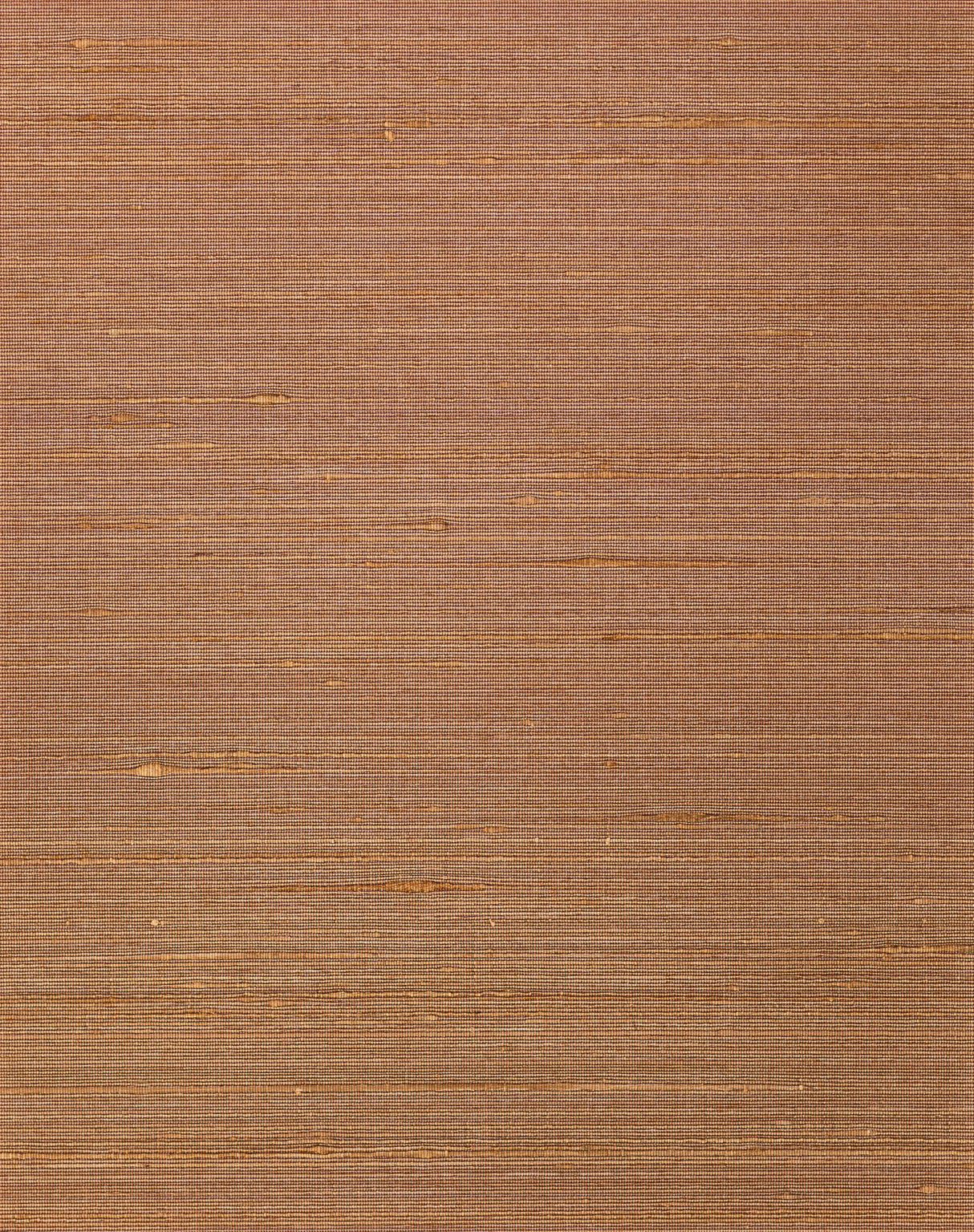 Winfield Thybony AMBROSE COPPER Wallpaper