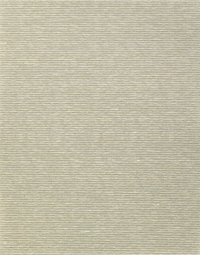 Winfield Thybony ALTHEA PLAIN RHINO Wallpaper