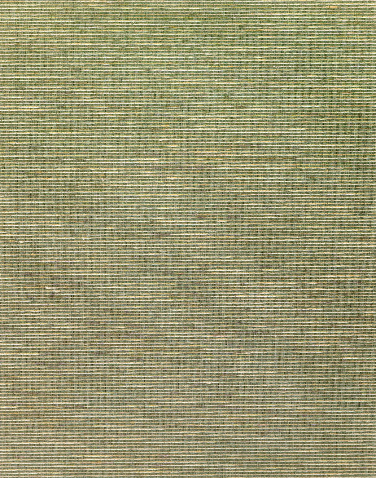 Winfield Thybony ALTHEA PLAIN OLIVE Wallpaper