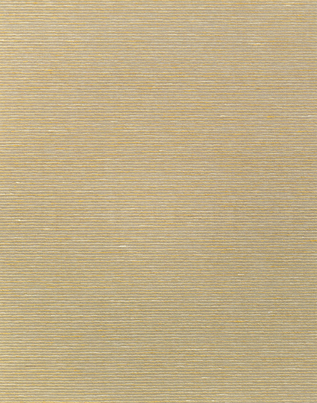Winfield Thybony ALTHEA PLAIN RAFFIA Wallpaper