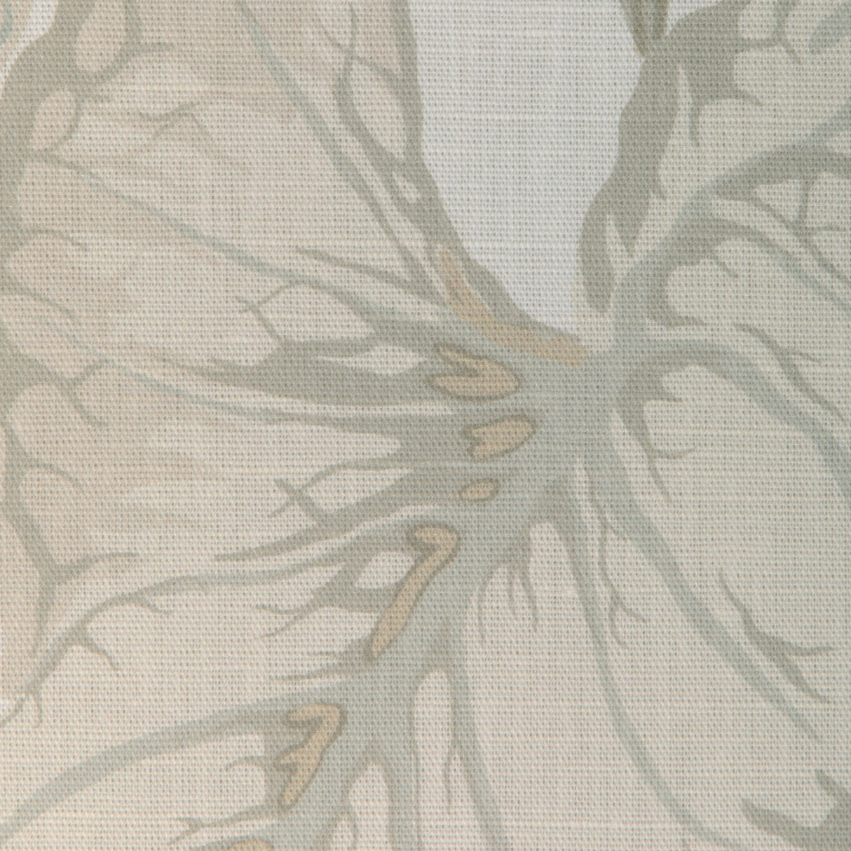 Kravet YASUNI SEPIA Fabric