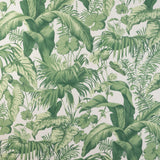 Kravet YASUNI VERDE Fabric