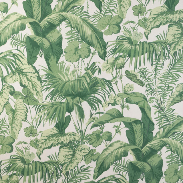 Kravet YASUNI VERDE Fabric