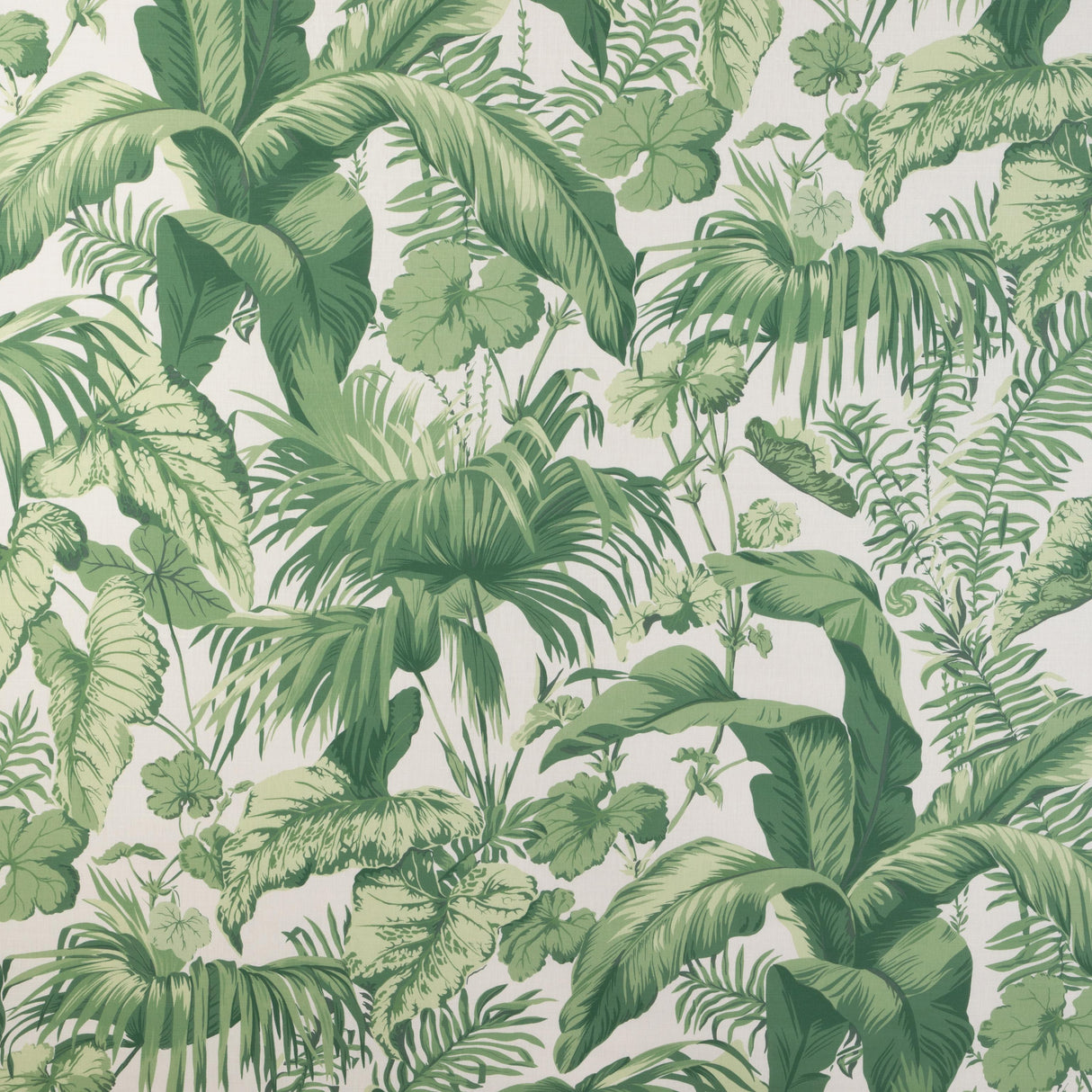 Kravet YASUNI VERDE Fabric