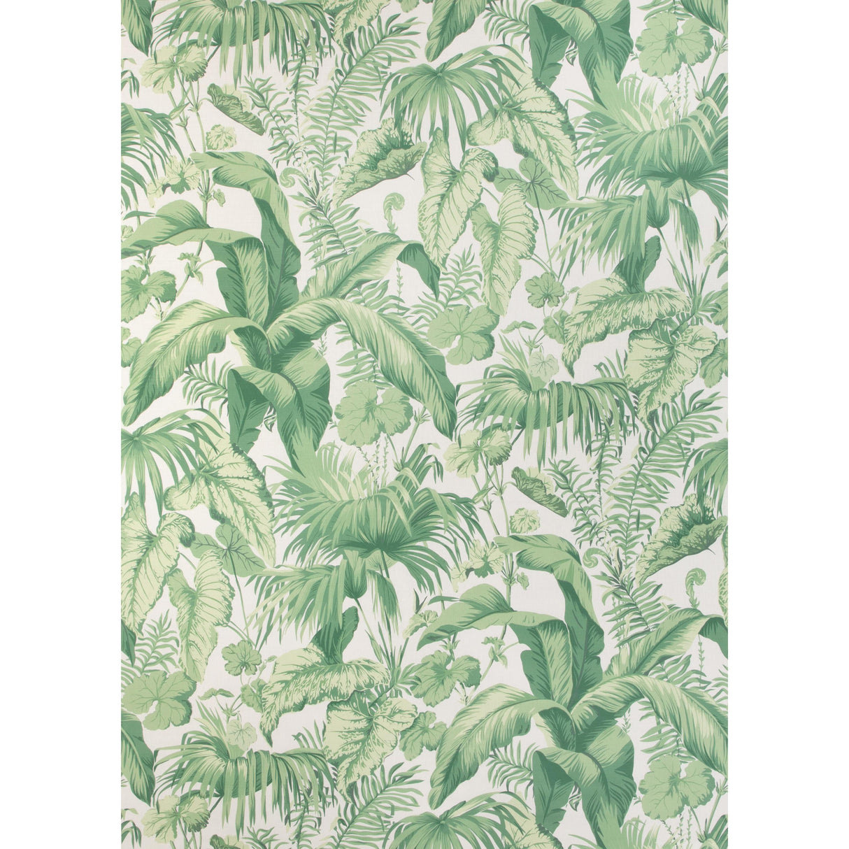 Kravet YASUNI VERDE Fabric