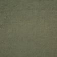 Pindler AMORI FERN Fabric