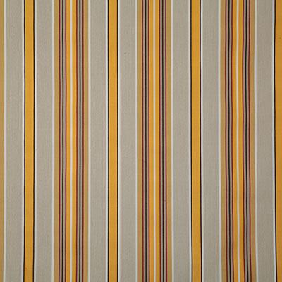 Pindler BAJA MARIGOLD Fabric