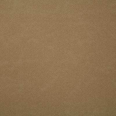 Pindler BONANZA BEIGE Fabric