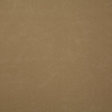 Pindler BONANZA BEIGE Fabric