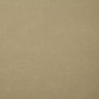 Pindler BONANZA OYSTER Fabric