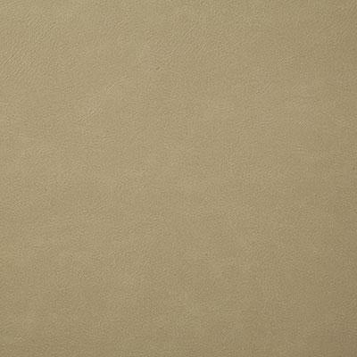 Pindler BONANZA OYSTER Fabric