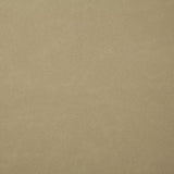 Pindler BONANZA OYSTER Fabric