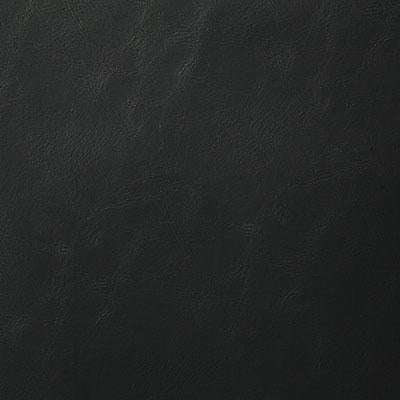 Pindler BONANZA EBONY Fabric