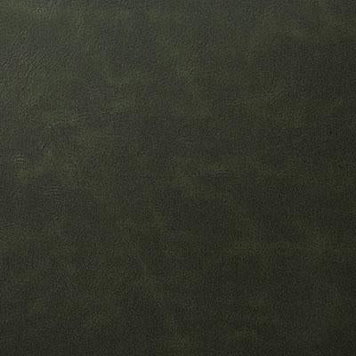 Pindler BONANZA LODEN Fabric