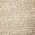 Pindler CLARIDGE SHELL Fabric