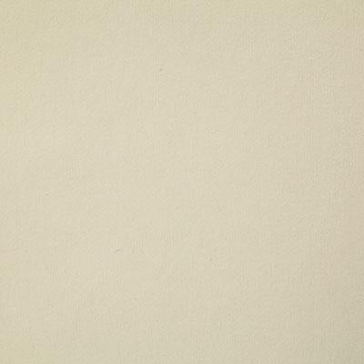 Pindler CLIFFSIDE IVORY Fabric