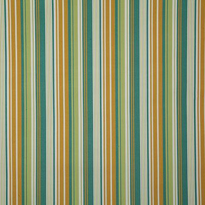 Pindler CORNERSTONE CITRUS Fabric