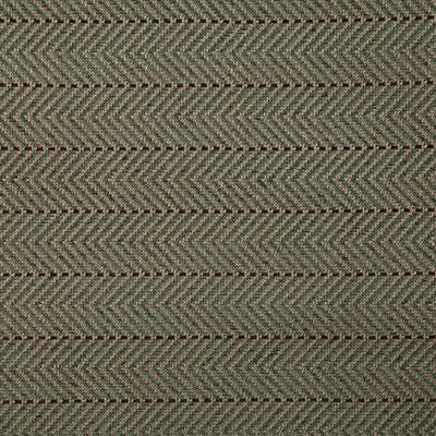 Pindler COX FERN Fabric