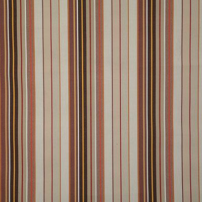 Pindler DAVENTRY CANYON Fabric