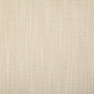 Pindler DENVILLE STRAW Fabric