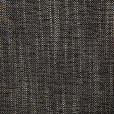Pindler DENVILLE NOIR Fabric
