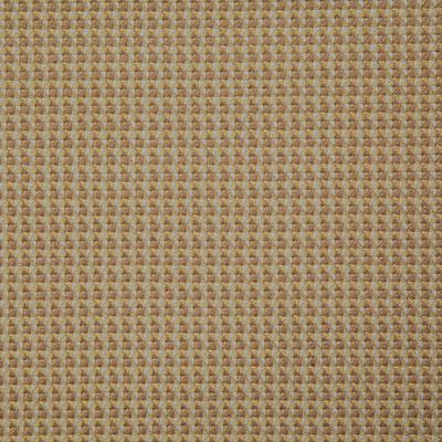 Pindler FINDON GOLDEN Fabric