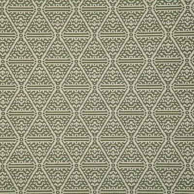 Pindler FRAMPTON FERN Fabric