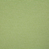 Pindler GAINSVILLE CITRUS Fabric