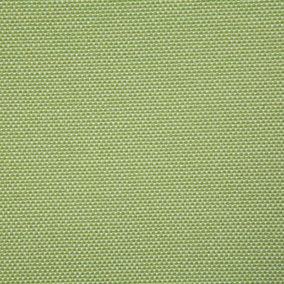 Pindler GAINSVILLE CITRUS Fabric