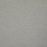 Pindler GAINSVILLE PLATINUM Fabric