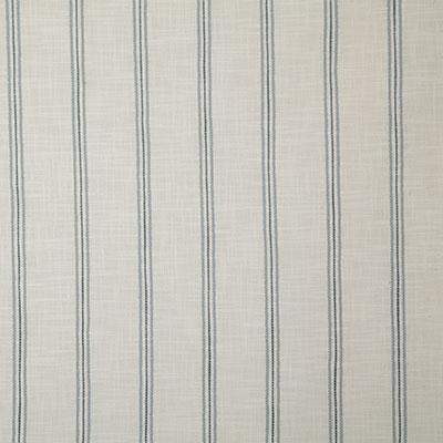 Pindler GAYDEN SKY Fabric