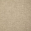 Pindler Griffith Dune Fabric