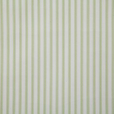 Pindler HALDANE CITRUS Fabric