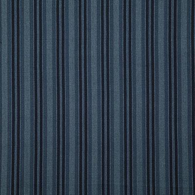 Pindler HESTIA INDIGO Fabric