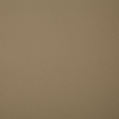 Pindler HOWDY BEIGE Fabric