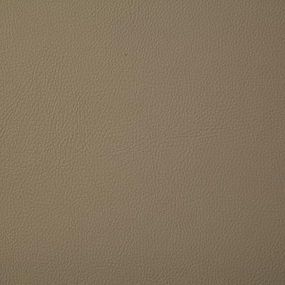Pindler HOWDY STONE Fabric