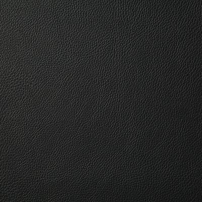 Pindler HOWDY ONYX Fabric