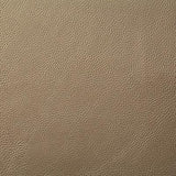 Pindler HOWDY CHAMPAGNE Fabric