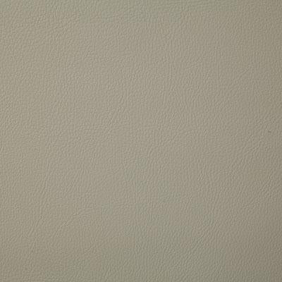 Pindler HOWDY DOVE Fabric