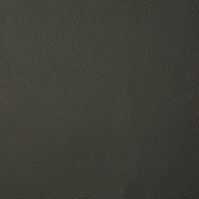 Pindler HOWDY MOSS Fabric