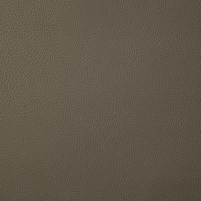 Pindler HOWDY TAUPE Fabric