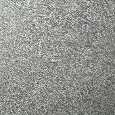 Pindler HOWDY SILVER Fabric