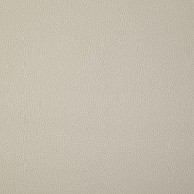 Pindler HOWDY WHITE Fabric