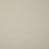 Pindler HOWDY WHITE Fabric