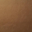 Pindler HOWDY GOLD Fabric